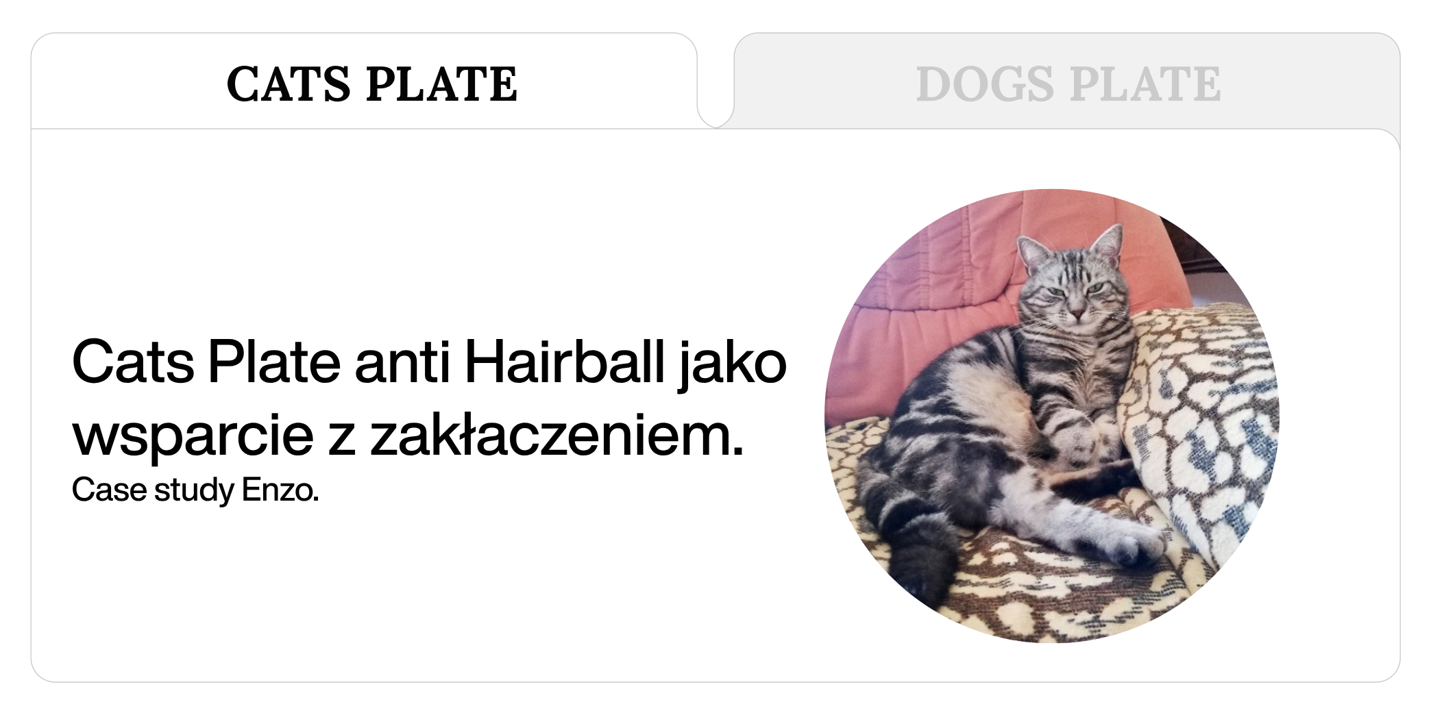 Case study Enzo: Cats Plate anti Hairball jako wsparcie z zakłaczeniem.