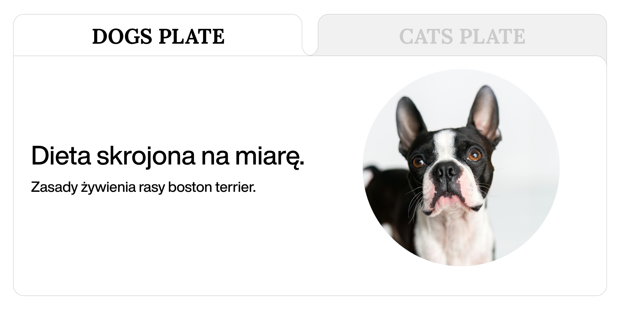 Zasady żywienia rasy boston terrier.