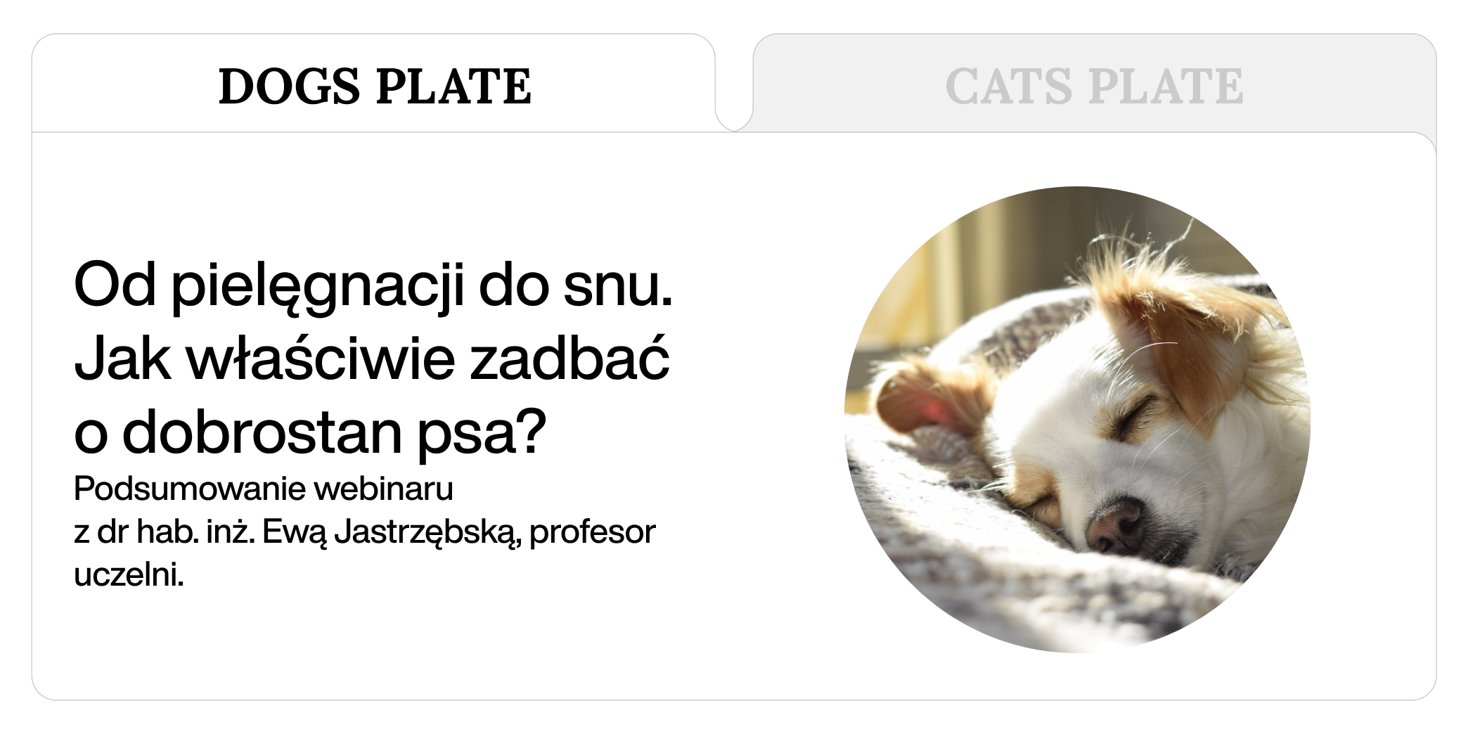 Od pielęgnacji do snu – jak właściwie zadbać o dobrostan psa?