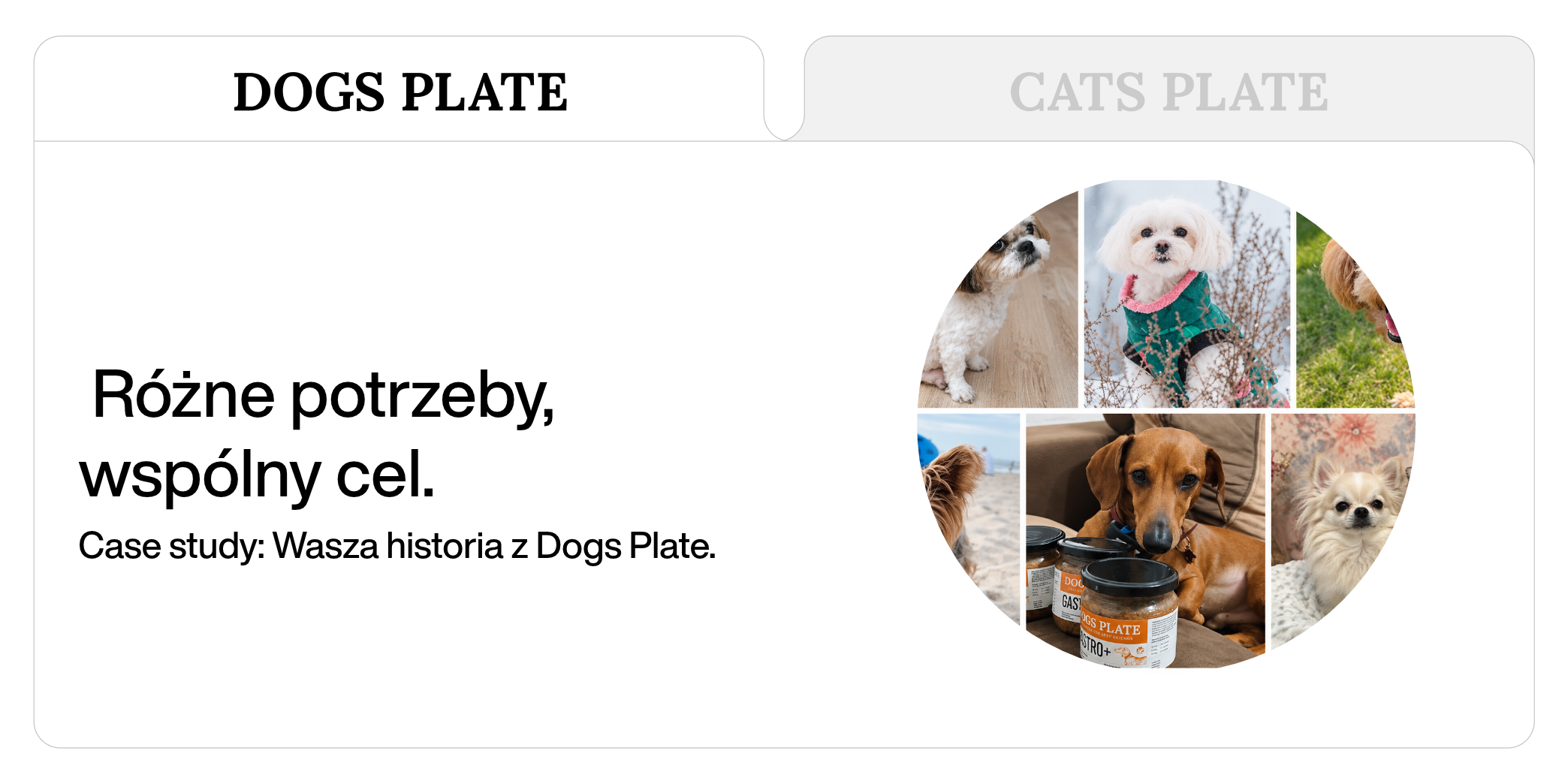 Case study: Wasza historia z Dogs Plate.